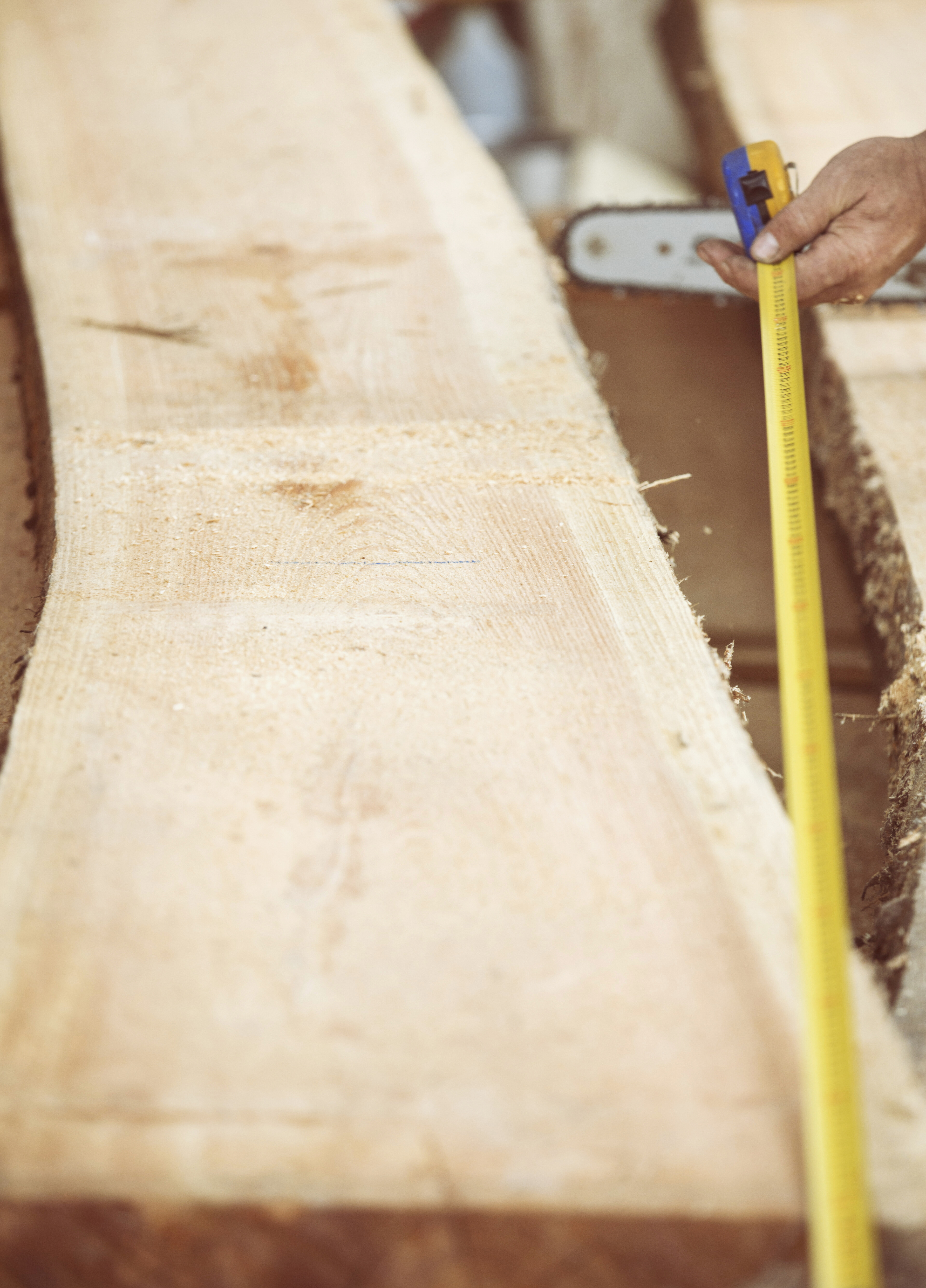 фото горбыль